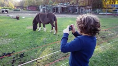 7 yaşındaki çocuk atların fotoğraflarını çekiyor.