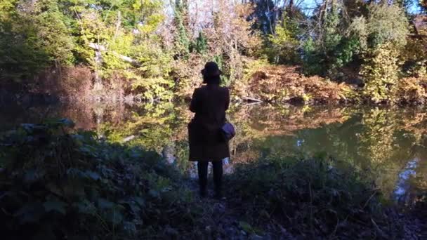 公園の木々の上にカラフルな秋の赤 緑の葉 湖の近くの秋の公園を歩く女性 — ストック動画