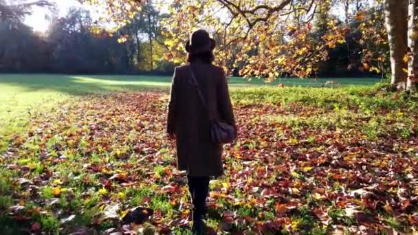 Colorful Autumn Red Yellow Green Leaves Trees Park Foliage Woman — Stock Video