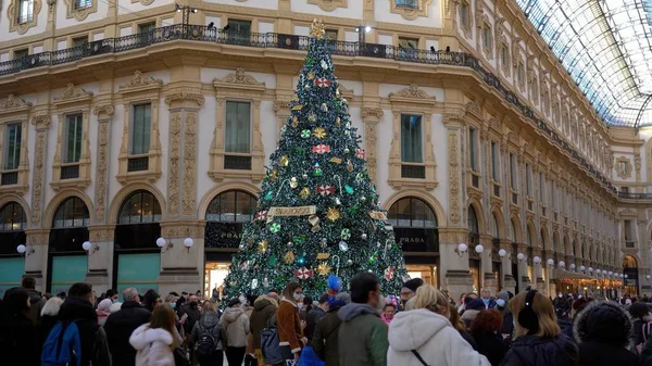 Европа Италия Милан Декабрь 2021 Рождественская Елка Соборе Дуомо Галерея — стоковое фото