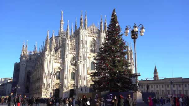 Europa Italien Mailand Dezember 2021 Weihnachtsbaum Dom Und Der Vittorio — Stockvideo