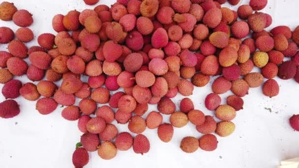 Lychee Fruits Chinois Rouge Fond Blanc — Video