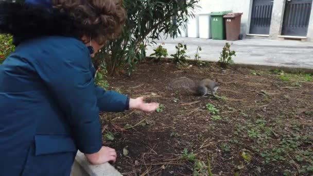 Year Old Boy Meets Squirrel Backyard Pandemic Lockdown Due Covid — Vídeo de Stock