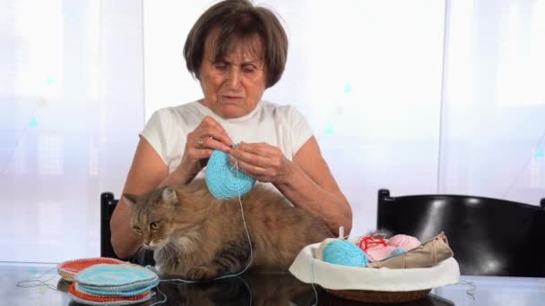 Europa Italia Milán Señora Mayor Pasar Tiempo Con Gato Lindo — Vídeos de Stock