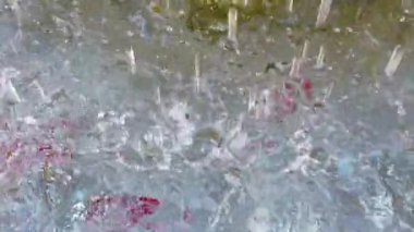 Yavaş yavaş yağmur damlaları gökten bir su havuzuna düşüyor. Bahar ve bol yağmurla birlikte.