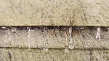 Su damlalarının yavaş yavaş taştan bir fıskiyeye düşmesi, yağmur konseptini oluşturmaya başlar.