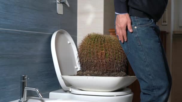 Anal Çatlaklar Hemoroitler Tuvaletteyken Adam Dikenli Kaktüsün Üzerinde Otururken Şiddetli — Stok video