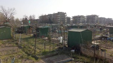 Rurope, İtalya, Buccinasco Mart 2022 - Milano şehir merkezi yakınlarında meyve ve sebze yetiştirme tarlaları. Yeşil devrim ve sürdürülebilir yaşam tarzı, iklim değişikliği ve küresel ısınma 