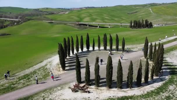 Europe San Quirico Orcia Abril 2022 Grupo Cipreses Toscana Imágenes — Vídeos de Stock