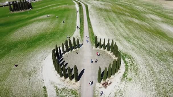 Europe San Quirico Orcia 2022年4月 トスカーナ州のサイプレスグループ ヴァル ドルシアでのヒノキリングの円形ドローンの空撮 彼らが位置している場所は トリボリ — ストック動画