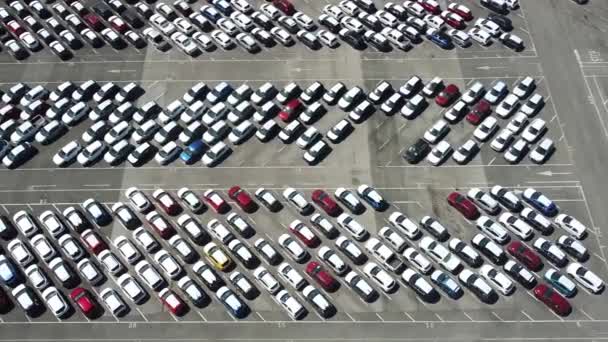 Εναέρια Πλάνα Από Νέα Αυτοκίνητα Παρκαρισμένα Στο Πάρκινγκ Έμπορος Αυτοκινήτων — Αρχείο Βίντεο