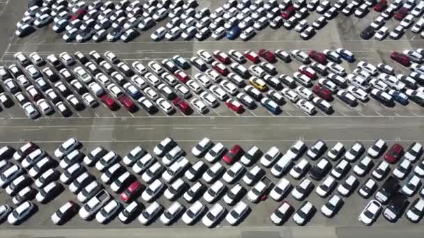 Imágenes Aéreas Autos Nuevos Estacionados Estacionamiento Concesionario Coches Estacionamiento Lleno — Vídeo de stock