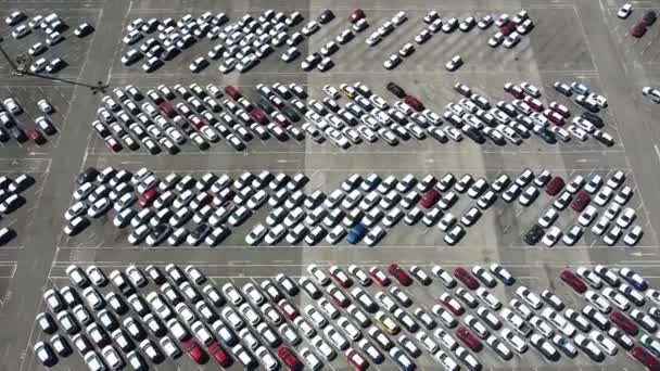 Повітряні Кадри Нових Автомобілів Припарковані Парковці Автомобіля Автомобільна Дилерська Стоянка — стокове відео