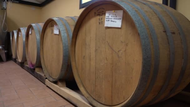 Wine Barrels Winery — Stock Video