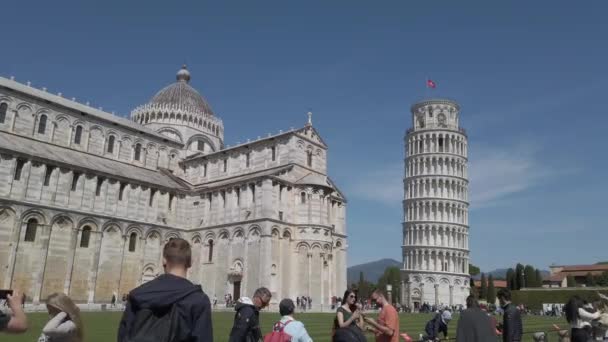 European Italy Pisa Tuscany April 2022 Pisa Tower Piazza Dei — 图库视频影像