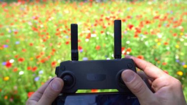 İnsansız hava aracı için uzaktan kumanda - ilkbaharda çiçek açan bir çiçek tarlasıyla kırsal alanda drone uçurmak için kontrol eder
