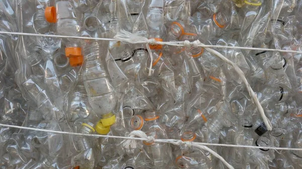 海に集められたペットボトルは 海洋のプラスチック島 気候変動と人間による環境汚染 緑の革命などのリサイクルのために積み上げられ 地球を救う — ストック写真