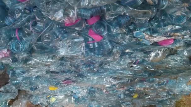 Denizde Toplanan Geri Dönüşüm Için Toplanan Plastik Şişeler Okyanuslardaki Plastik — Stok video