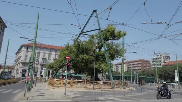 Europe Italy Milan July 2022 Century Old Tree Street Road — Αρχείο Βίντεο