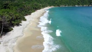 Santa Marta Kolombiya, Tayrona Doğal Parkı Karayip Denizi - Palmiye ağaçlarıyla dolu muhteşem kumsal ve ormanın insansız hava aracı manzarası - yaz tatili için cennet plajı