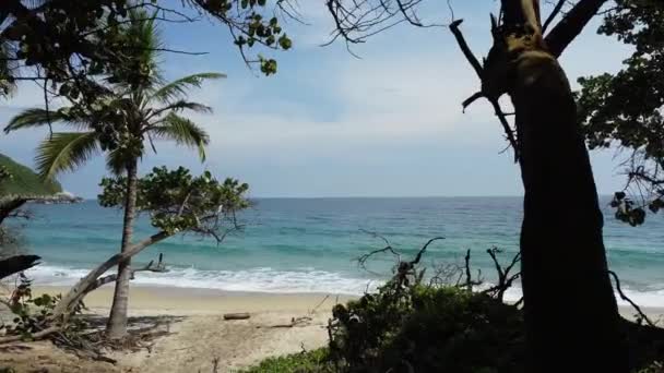 Santa Marta Colômbia Parque Natural Tayrona Mar Caribe Cabo San — Vídeo de Stock