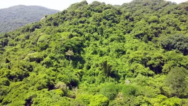 Santa Marta Colômbia Parque Natural Tayrona Mar Caribe Vista Aérea — Vídeo de Stock