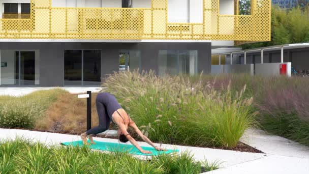 21歳の少女は 自然植物園でヨガ体操を行います ミラノ市内でリラックスして瞑想 物理的および精神的な演習で都市生活の喧騒と戦う — ストック動画