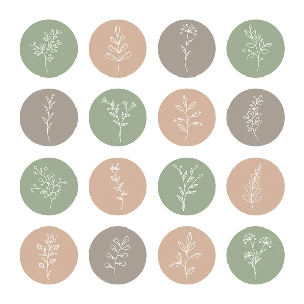 Bitkisel çizgiler. Vektör bitki elementleri
