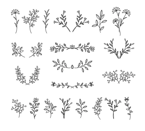 Bitkisel vektör dekoratif elementler. Düğün süslemesi