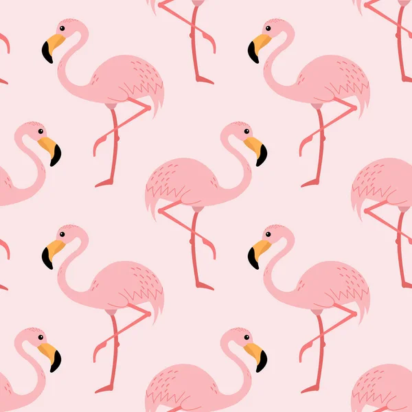 Pembe flamingo kuşlarıyla kusursuz bir desen..