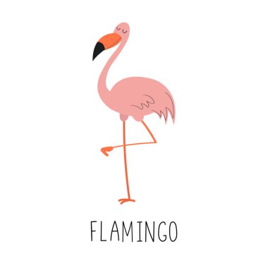 Şirin çizgi film stili flamingo. Pembe tropikal kuş.