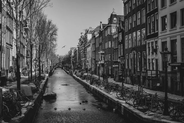 Άμστερνταμ Ολλανδία Φεβρουαρίου 2021 Τυπικά Σπίτια Καναλιών Στο Παλιό Κέντρο — Φωτογραφία Αρχείου