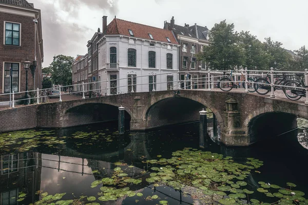 Leiden Nizozemsko Července 2021 Pohled Příjemné Centrum Města Leidenu Krásnými — Stock fotografie