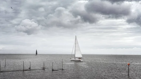 Segelboot Auf Dem Ijsselmeer Bei Bewölktem Wetter Enkhuzen Niederlande — Stockfoto