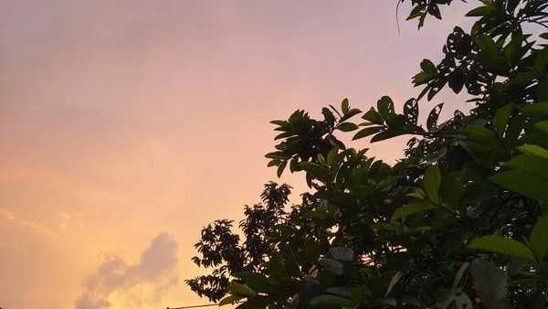 Céu Bonito Pintado Pelo Sol Deixando Tons Dourados Brilhantes — Fotografia de Stock