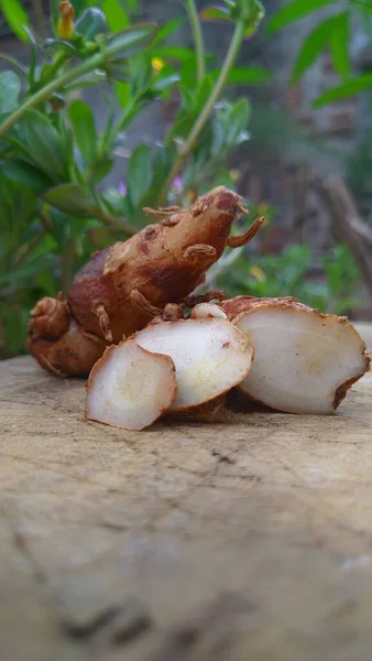 Skivad Ingefära Kaempferia Galanga Kencur Aromatisk Ingefära Cutcherry Återuppståndelse Lilja — Stockfoto