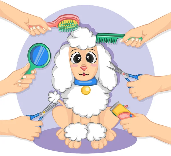 Dog Tool Pet Grooming Flat Vector Style Pet Grooming Services — Stock Vector