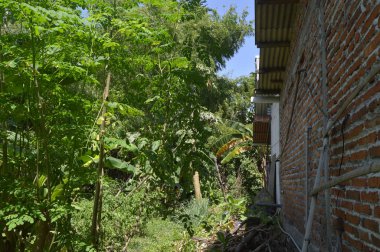 Gökyüzü ve bulutlar berrakken evin yanındaki bahçe atmosferi.