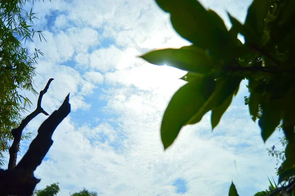 Blauwe Lucht Achtergrond Met Kleine Wolken — Stockfoto