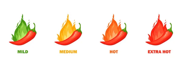 Chilli pepper spicy food level. Hot scale indicator with mild, medium, hot, extra positions. Icons with fire flames. Vector illustration — Stockvector