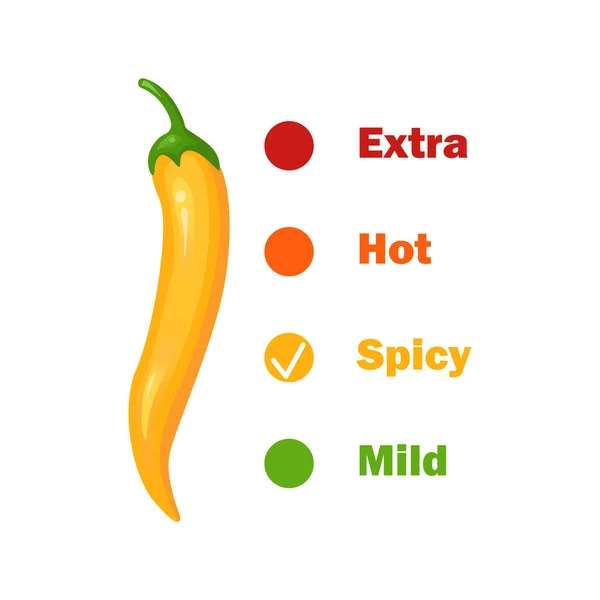 Ζεστό πικάντικο επίπεδο με φλογοβόλο. Infographic πρότυπο σχεδιασμού με κόκκινο καυτερό πιπέρι τσίλι σε λευκό φόντο. Εικονογράφηση διανύσματος — Διανυσματικό Αρχείο