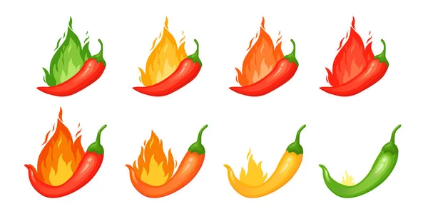 Chilli pepper spicy food level. Hot scale indicator with mild, medium, hot, extra positions. Icons with fire flames. Vector illustration — Wektor stockowy