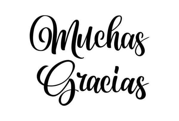 Gracias Calligraphy Spain Text Ručně Psané Španělské Slovo Děkuji Návrh — Stockový vektor