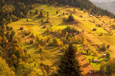 Moieciu de Sus, Brasov ilçesi, Romanya. Karpat Dağları 'nda kırsal sonbahar manzarası