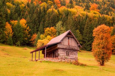 Moieciu de Sus, Brasov ilçesi, Romanya. Karpat Dağları 'nda kırsal sonbahar manzarası
