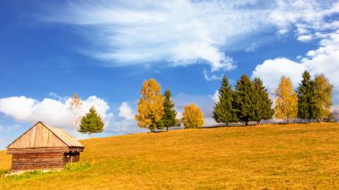 Moieciu de Sus, Brasov ilçesi, Romanya. Karpat Dağları 'nda kırsal sonbahar manzarası