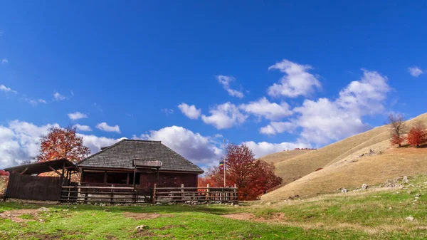 Automne Buila Vanturarita National Park Carpates Roumanie Couleurs Automne Vives — Photo