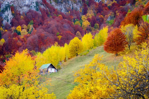 Autumn Buila Vanturarita National Park Carpathian Mountains Romania Patrunsa Hermitage — Stock Photo, Image