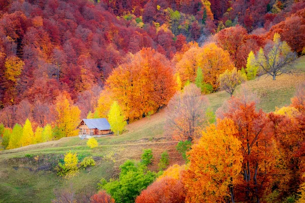 Autumn Buila Vanturarita National Park Carpathian Mountains Romania Patrunsa Hermitage — Stock Photo, Image