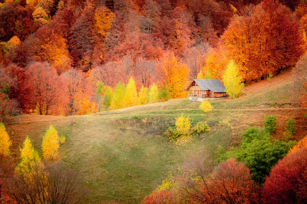 Podzim Národním Parku Buila Vanturarita Karpaty Rumunsko Patrunsa Poustevna Obklopená — Stock fotografie